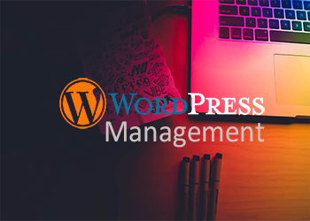 WordPress Management